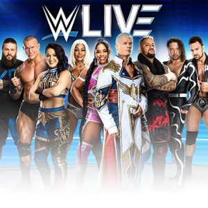 wwe tour ireland